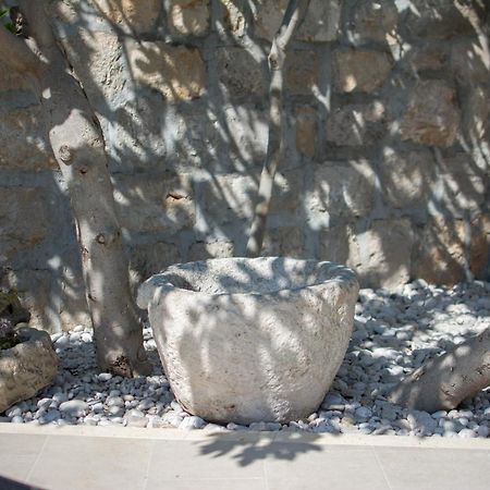 Villa Martinovic Dubrovnik Eksteriør billede