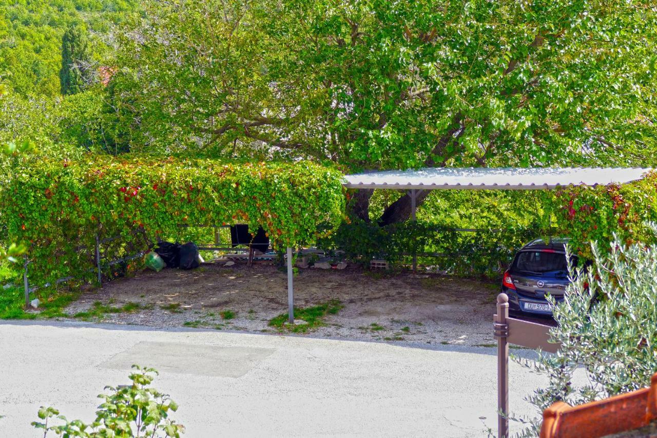 Villa Martinovic Dubrovnik Eksteriør billede